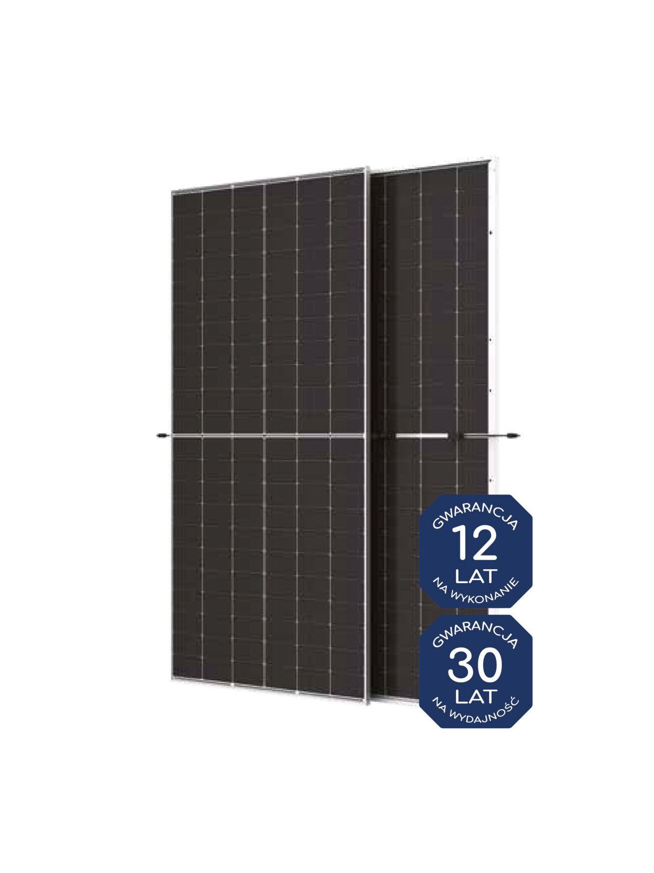 TRINA 600W SF Bifacial NEG19RC.20
